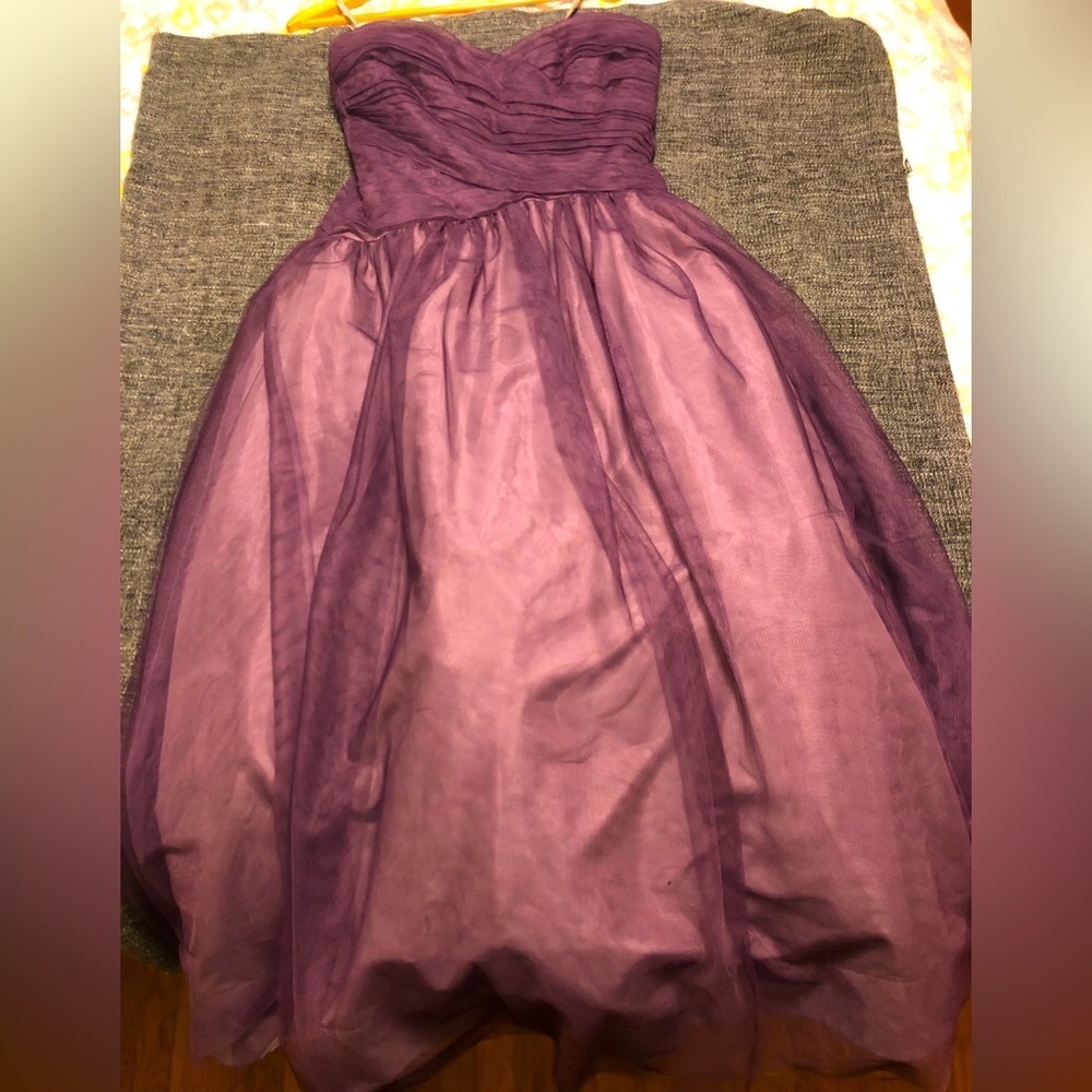 Taylor Swift “Speak Now” Era Vibe Midi Purple Tulle Dress by Monique Lhulier